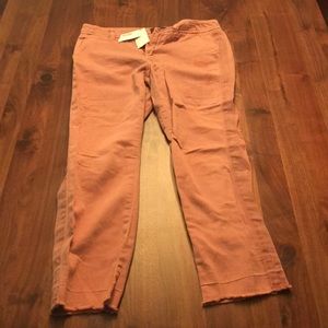J Crew Chino